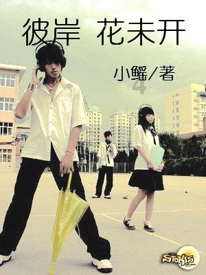 超级冰火人冒险2